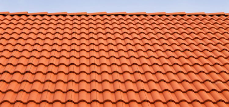 Concrete Clay Tile Roof Lake View Terrace